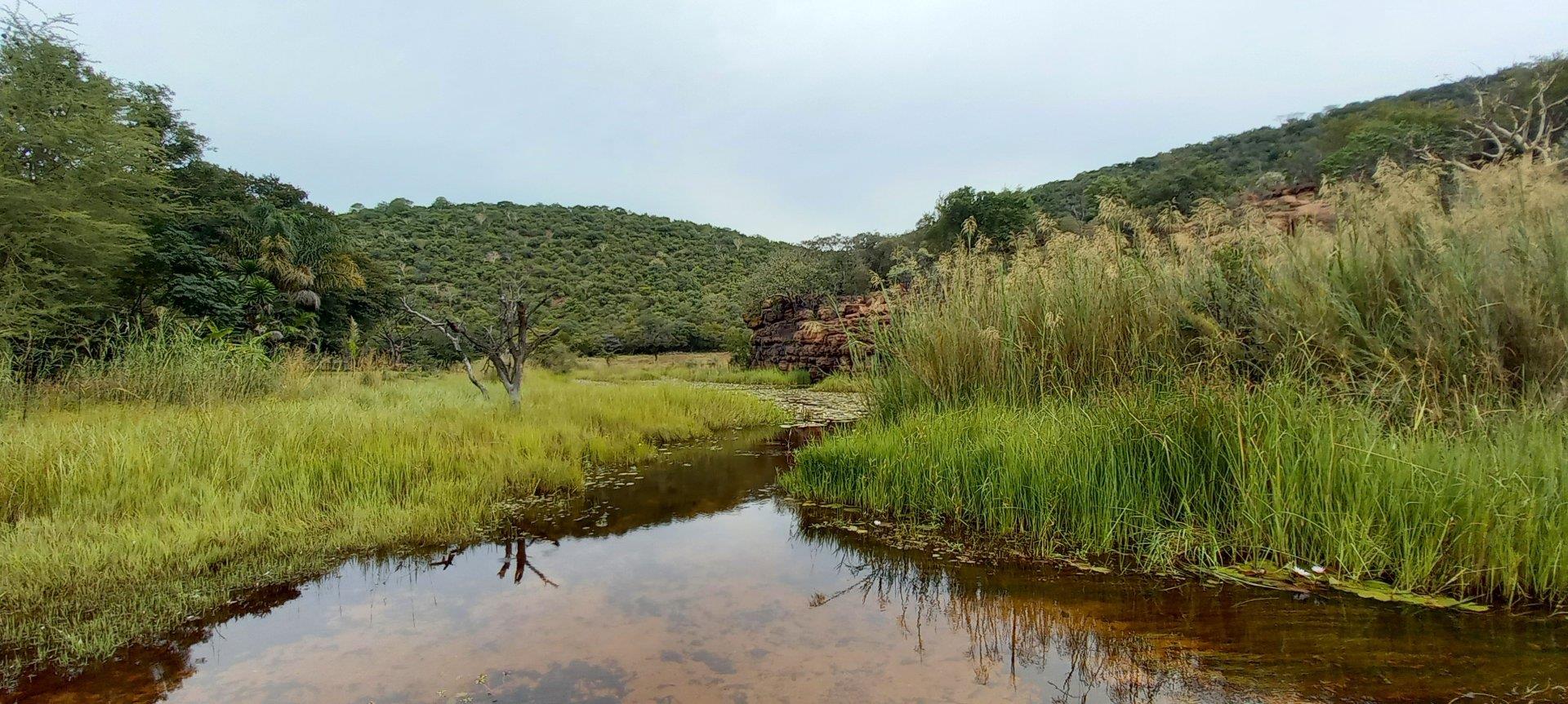 5 Bedroom Farm for Sale - Limpopo