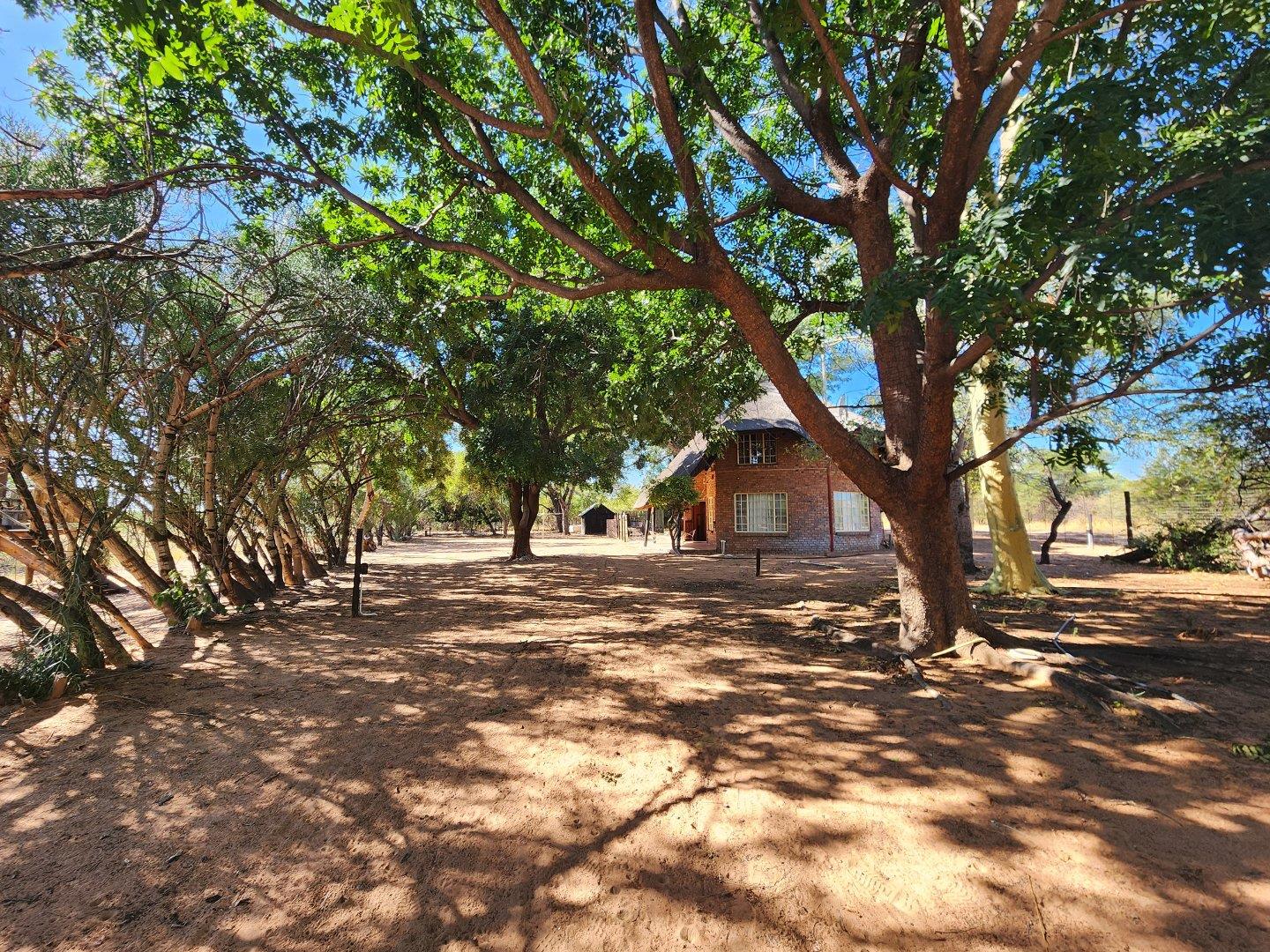13 Bedroom Farm for Sale - Limpopo
