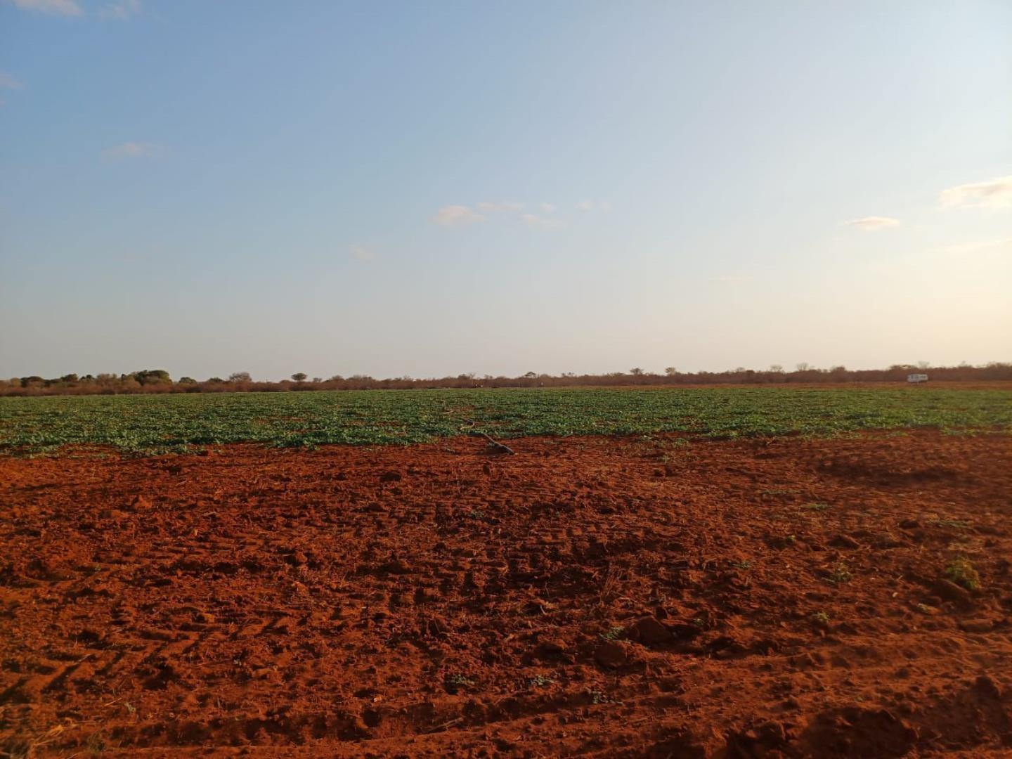 7 Bedroom Farm for Sale - Limpopo
